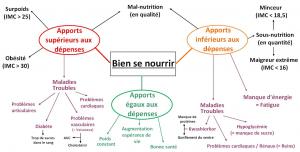 6eme correction carte mentale chapitre 4