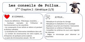 Conseil de pollux 3eme chap 2