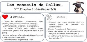 Conseil de pollux 3eme chap 3