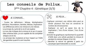 Conseil de pollux 3eme chap 4