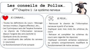 Conseil de pollux 4eme chap 1