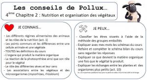 Conseil de pollux 4eme chap 2