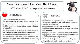 Conseil de pollux 4eme chap 3