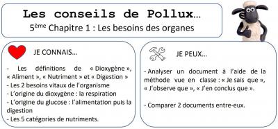 Conseil de pollux 5eme chap 2