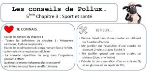 Conseil de pollux 5eme chap 3