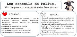 Conseil de pollux 5eme chap 4