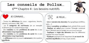 Conseil de pollux 6eme chap 4