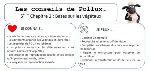 Conseils de pollux 5eme chap 2