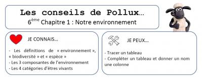 Conseils de pollux 6eme chap 1