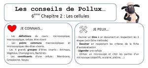 Conseils de pollux 6eme chap 2