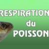 Respi poisson